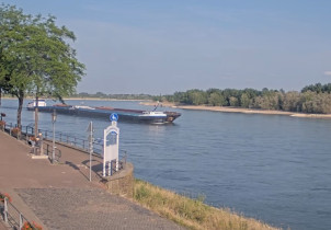 Slika pregleda web-kamere Rhine River - Promenade Rees